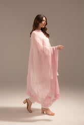 1 Piece Chiffon Embroidered Dupattas/Stoles (FD0051)